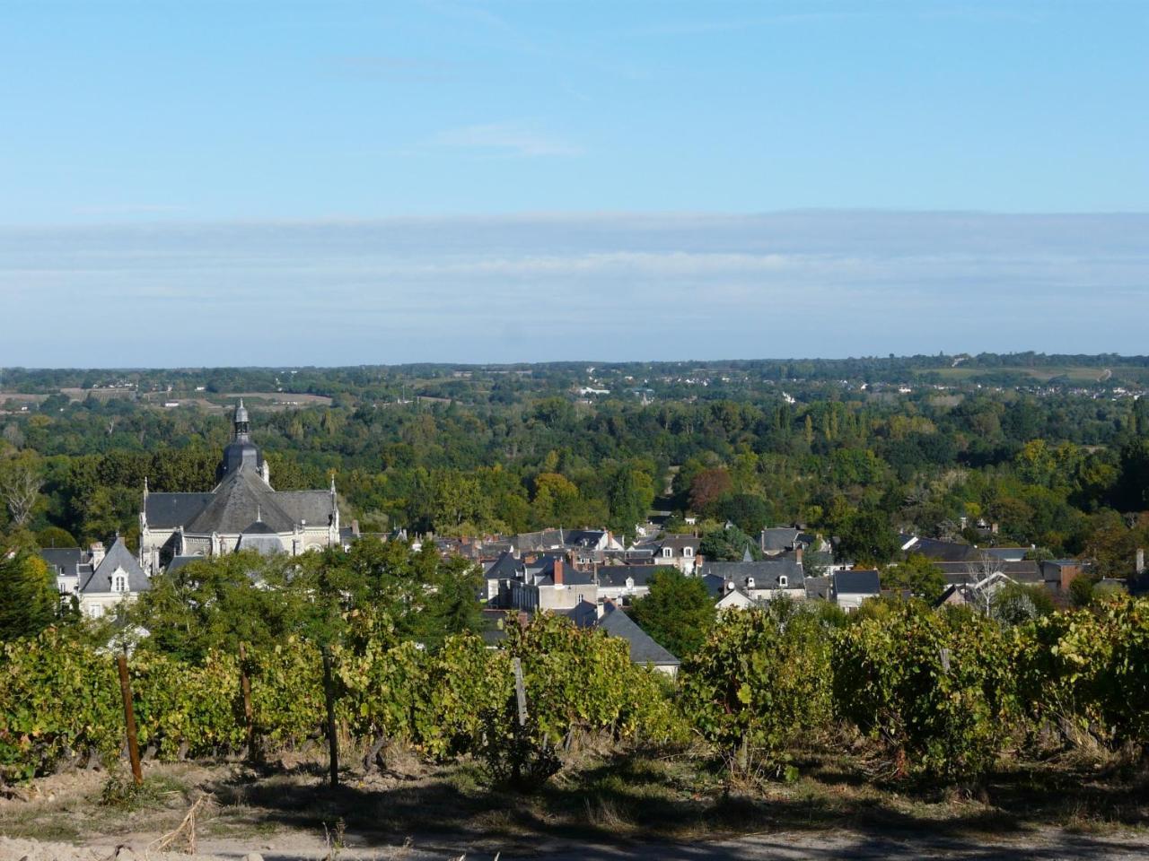 Clos sainte catherine Rochefort-sur-Loire Exterior foto