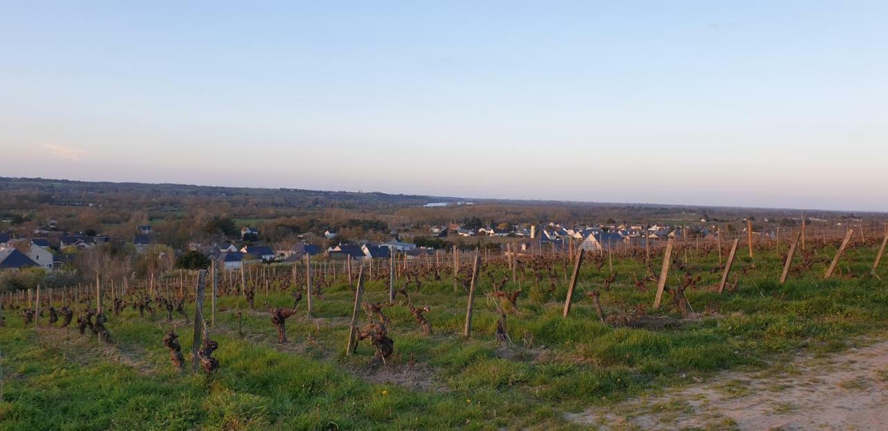 Clos sainte catherine Rochefort-sur-Loire Exterior foto